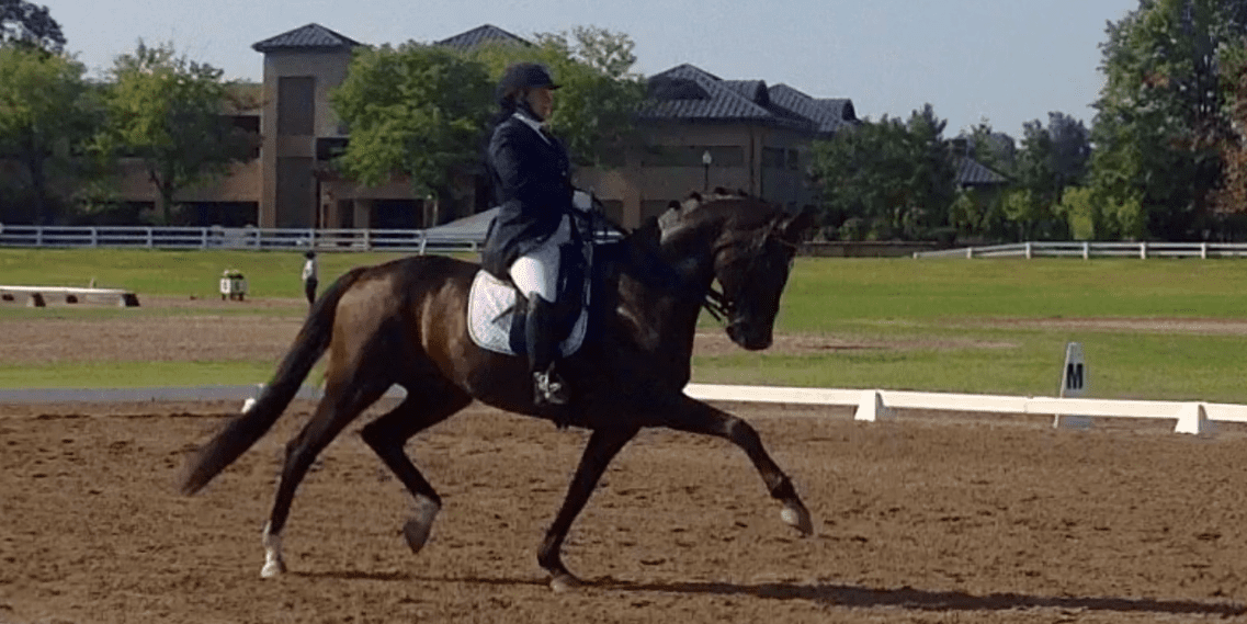 Links 7 nkldressage