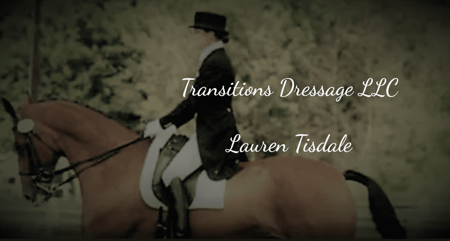 Links 1 Transitions Dressage